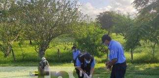 Un hombre fue encontrado muerto a orillas de una carretera en Chontales
