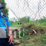 Investigan la muerte de un hombre encontrado en un predio montoso en Managua Investigan la muerte de un hombre encontrado en un predio montoso en Managua