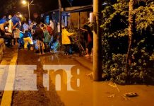 Lluvias y vientos causan daño en viviendas de Nagarote Casas y árboles colapsados por lluvias y vientos en Nagarote