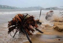 Nora se convierte en huracán en costas del Pacífico mexicano Nora se convierte en huracán en costas del Pacífico mexicano