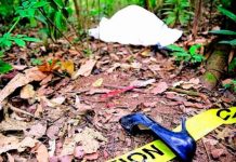 Encuentran el cadáver de una mujer