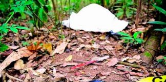 Encuentran el cadáver de una mujer