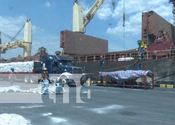 Actividad en los puertos de Nicaragua
