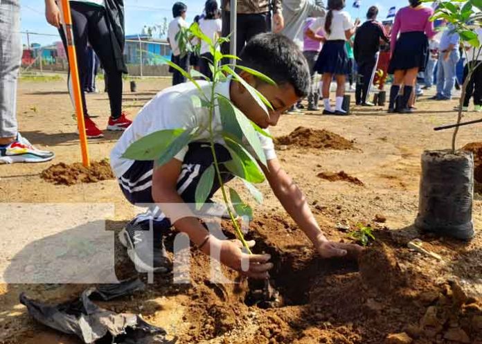 Jornada de reforestación en El Crucero en honor a Tomás Borge y Fidel Castro