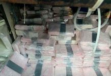 Incautan en Puerto Rico cocaína valorada en 12 millones de dólares