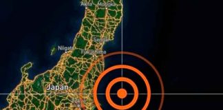 Fuerte sismo de 5,8 sacude la costa de Tokio