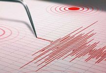 Sismo de magnitud 4,6 se registra en Venezuela