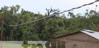 Proyecto de energía eléctrica llega a comunidad Lívico, en Siuna