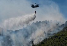 El fuerte y rápido actuar de las autoridades no cesa contra incendios en Europa