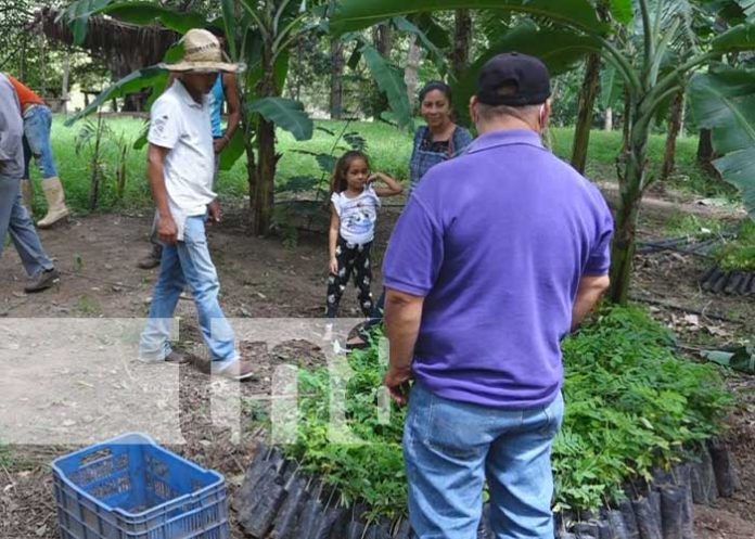 Protección del Cañón de Somoto con campaña por el medio ambiente