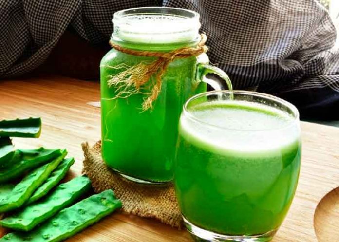 ¿Cuales son beneficios del té de nopal para las personas con diabetes?