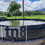 Inauguración de estanques de peces tilapia en Jinotega