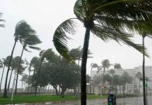 Huracán «Grace» y tormenta «Henri» causarán estragos en México y EE.UU Huracán "Grace" y tormenta "Henri" causarán estragos en México y EE.UU