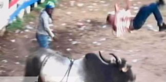 Hombre resulta herido por toro en Chontales