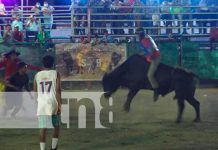 Sangre, traición y terror: el dilema de las montas de toros en Nicaragua Montas de toros en Nicaragua