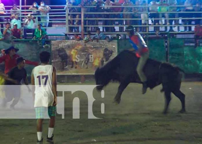 Montas de toros en Nicaragua