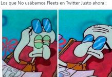 Twitter elimina los fleets y estallan los memes (aquí los mejores) Twitter elimina los fleets y estallan los memes (aquí los mejores)