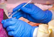 Costa de Marfil inicia la vacunación contra el ébola