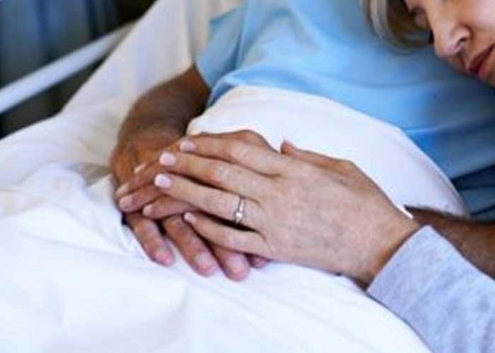 vegetal Foto: Muchos pacientes en estado vegetativo saben lo que pasa alrededor / Referencia