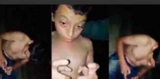 ¿Está poseído? Extraño caso de un niño que juega Free Fire "dormido" ​(video)