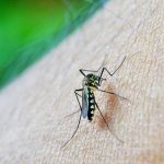 Muere la primera mujer contagiada con nuevo virus en España