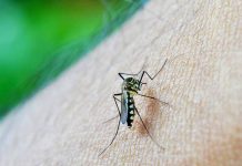 Muere la primera mujer contagiada con nuevo virus en España