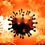 Detectan en Sudáfrica la variante del COVID «más mutada» hasta la fecha Detectan en Sudáfrica la variante del COVID "más mutada" hasta la fecha