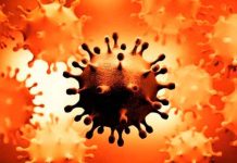 Detectan en Sudáfrica la variante del COVID "más mutada" hasta la fecha