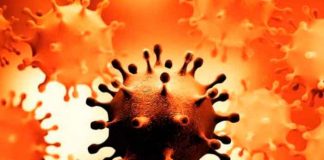 Detectan en Sudáfrica la variante del COVID "más mutada" hasta la fecha
