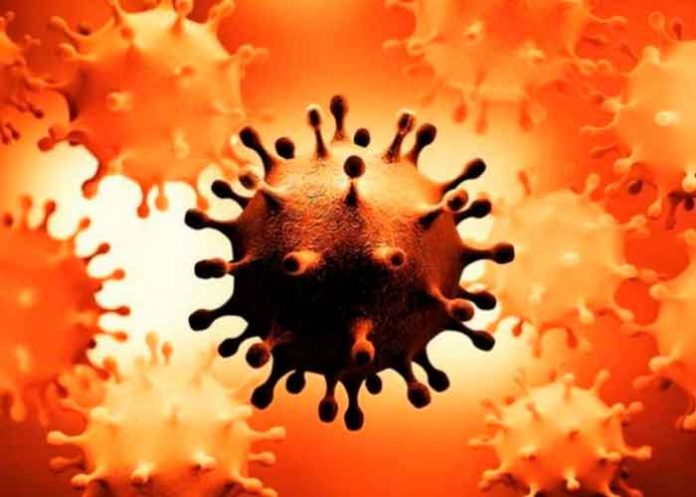 Detectan en Sudáfrica la variante del COVID 