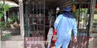 Trabajo del MINSA en el barrio Bertha Calderón para eliminar al zancudo