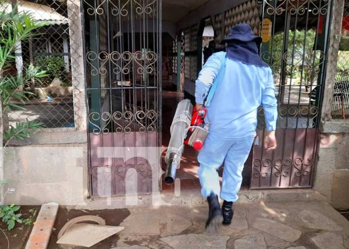 Trabajo del MINSA en el barrio Bertha Calderón para eliminar al zancudo