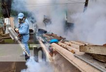 Viviendas mejor protegidas por lucha antiepidémica en barrio Bertha Calderón Lucha antiepidémica en Managua con fumigación y abatización