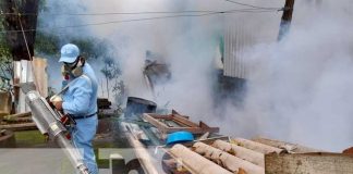 Lucha antiepidémica en Managua con fumigación y abatización