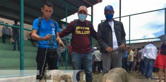 Familias reciben bonos de cerdos en Jalapa, Nueva Segovia