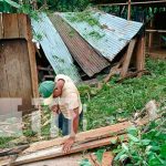 Árbol cae sobre dos viviendas debido a las lluvias y los fuertes vientos en Matiguás