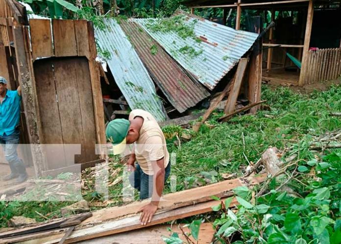 1 Árbol cae sobre dos viviendas debido a las lluvias y los fuertes vientos en Matiguás