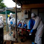 Descubren un anticuerpo potente contra las variantes del COVID-19.