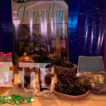 nicaragua, managua, expopyme,