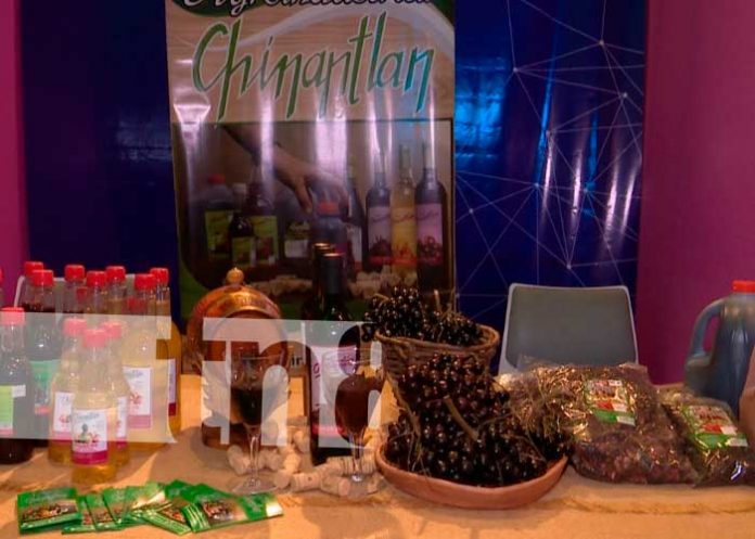 nicaragua, managua, expopyme,