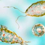 Muere un niño tras infectarse con una ameba ‘comecerebros’ en Texas Muere un niño tras infectarse con una ameba 'comecerebros' en Texas