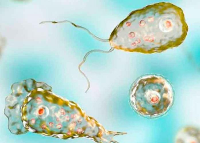 Muere un niño tras infectarse con una ameba 'comecerebros' en Texas