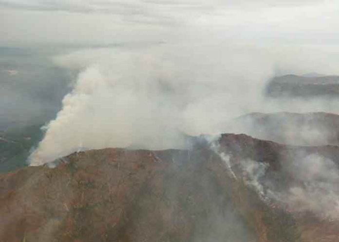 La lluvia ayuda a combatir el gran incendio que azota Andalucía