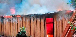 Destruyen narcolaboratorio y arrestan a 63 personas en El Paraíso, Honduras