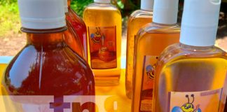 Para mejorar su producción apicultores en Chinandega reciben acompañamiento del MEFCCA