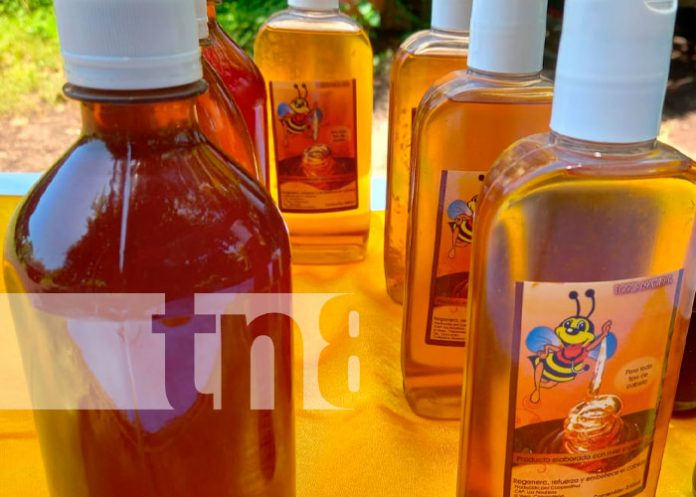 Para mejorar su producción apicultores en Chinandega reciben acompañamiento del MEFCCA