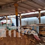 En el Israel Lewites el nuevo galerón de los mariscos avanzan en un 20 por ciento