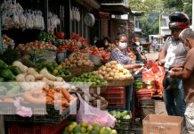 Precios se mantienen estables en el Mercado El Mayoreo Ambiente en el Mercado Mayoreo, ubicado en Managua, Nicaragua
