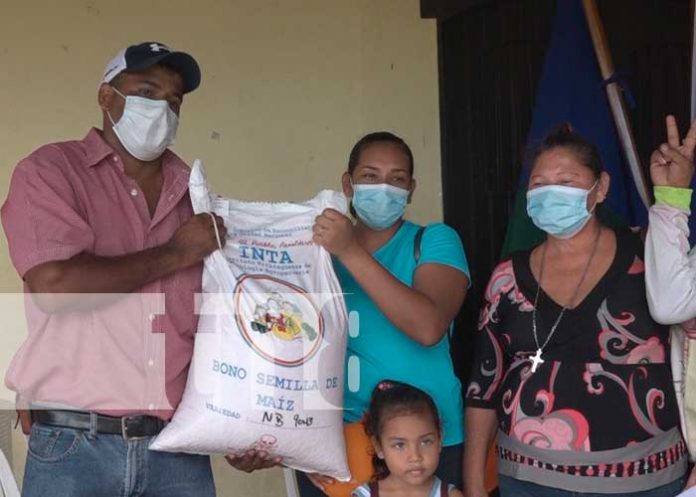 nicaragua, rivas, producción, agricultura,