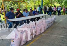 Entregan 700 bonos tecnológicos a productores de Siuna nicaragua, siuna, bonos tecnologicos,